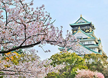 石雪清：未发现禁止现金法规 行规岂能凌驾国法上